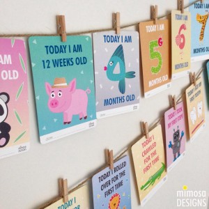 Baby Milestone Cards: 0 to 12mths