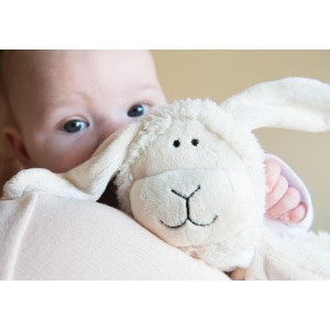 Sheepy