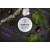 Eczema Relief Cream - RESTOCKED!